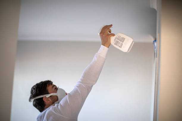 Best Preventive Mold Services in Velva, ND